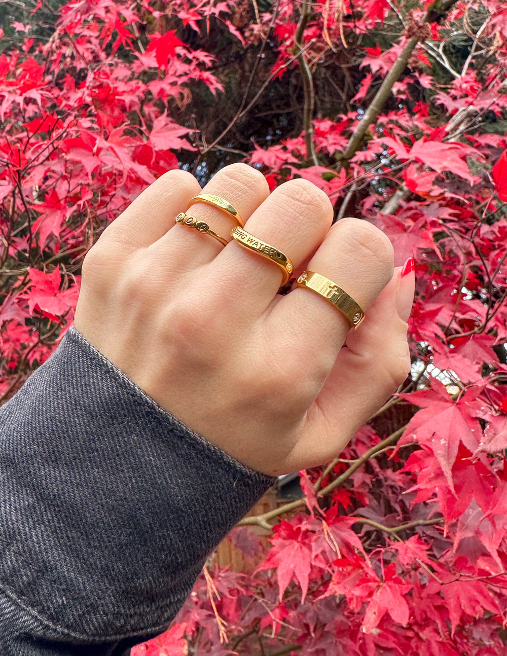 Elevated Faith Christian Jewelry rings displayed on a hand amid vibrant red leaves