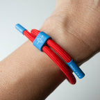 Trust His Plan, Proverbs 3:5-6