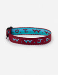 Elevated Faith Christian Jewelry Bracelet with colorful woven design featuring W.W.J.D. text