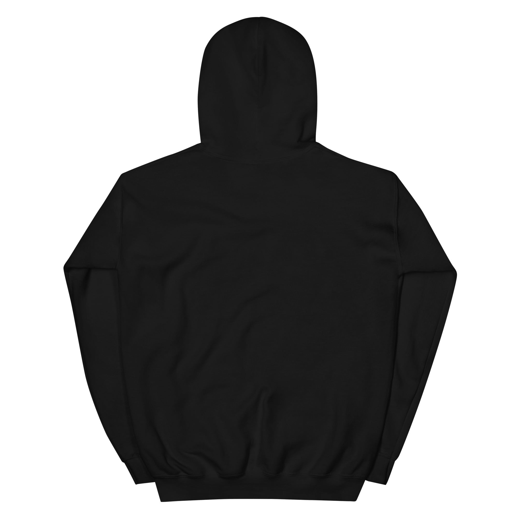 Back view of a black Christian Hoodie from RepThe1 Apparel and Accessories with a cozy design