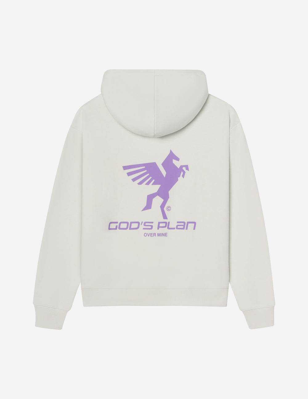 Elevated Faith Christian Hoodie featuring God's Plan graphic and a stylish design in soft fabric