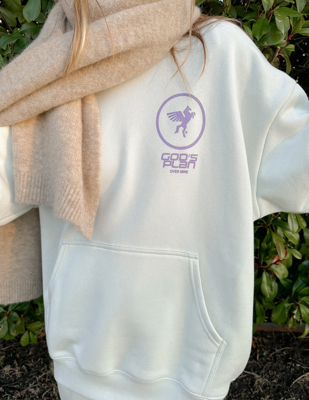 Elevated Faith Christian Hoodie in light color featuring a graphic of a pegasus and the text God's Plan