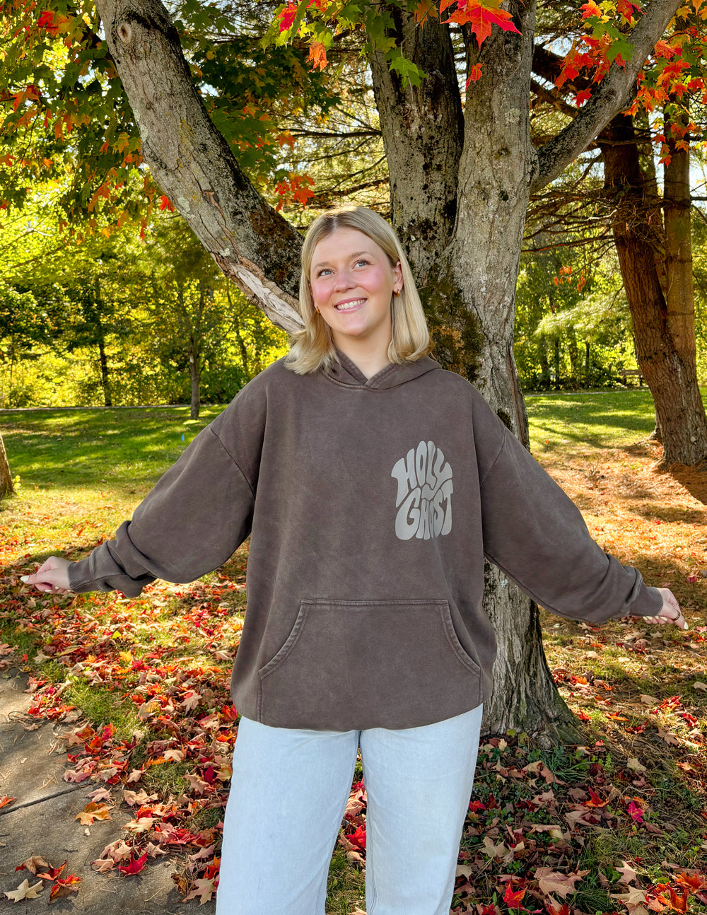 Brown Christian Hoodie by Elevated Faith with 'Holy Ghost' graphic on the front in a scenic outdoor setting