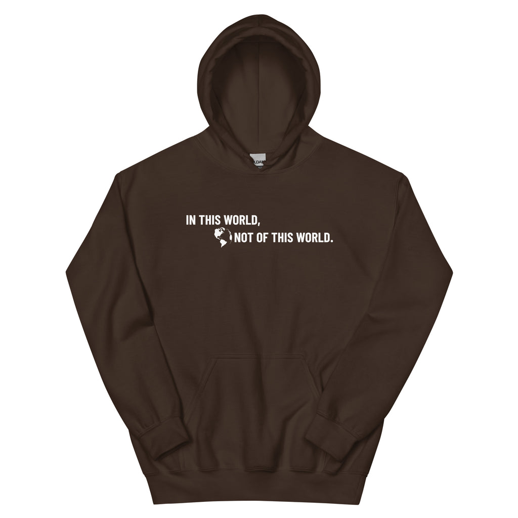 Brown Christian Hoodie with the phrase 'In this world, not of this world' in white text