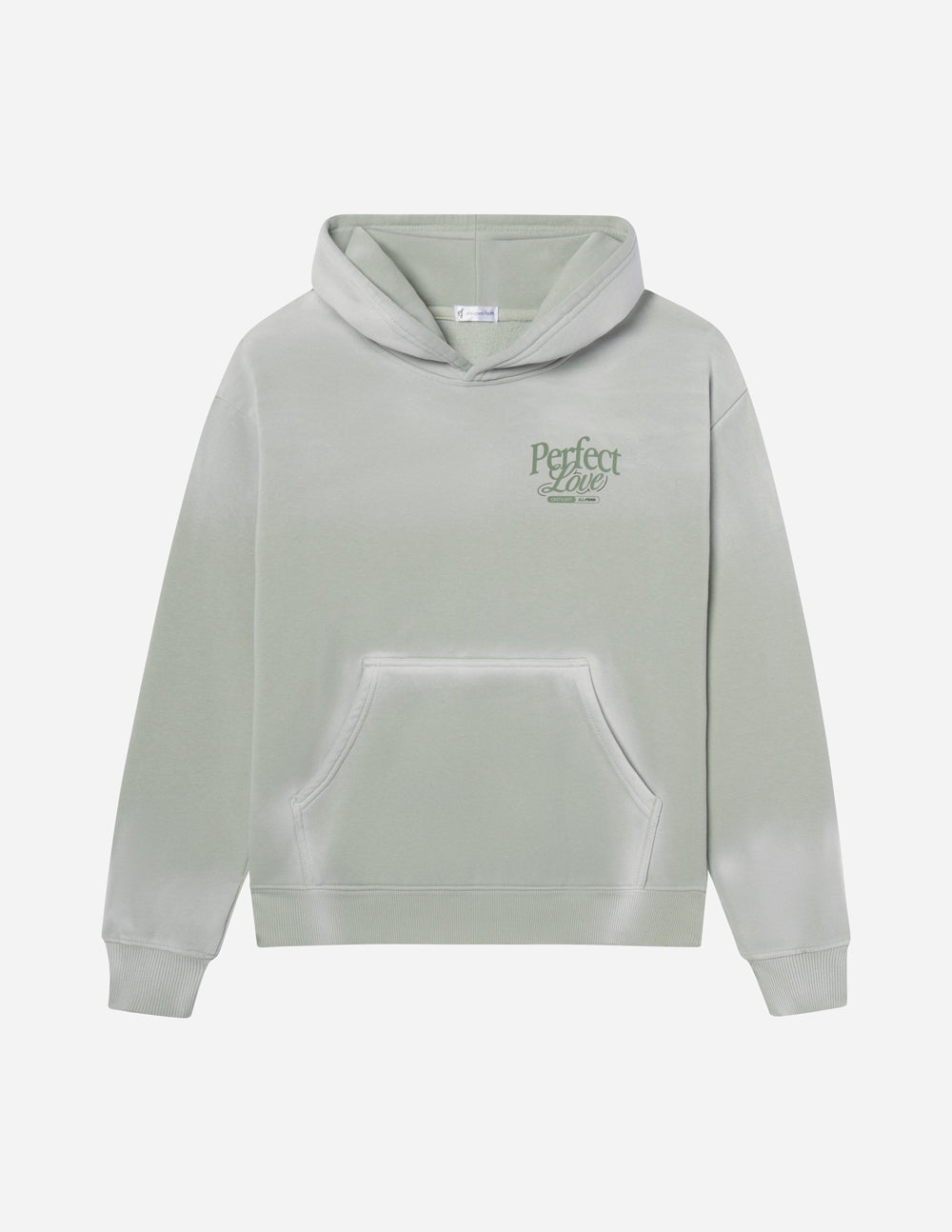 Elevated Faith Christian Hoodie in soft green with 'Perfect Love' lettering front design