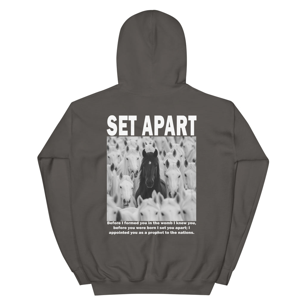 Gray Christian Hoodie featuring a horse graphic and inspirational text for a unique style