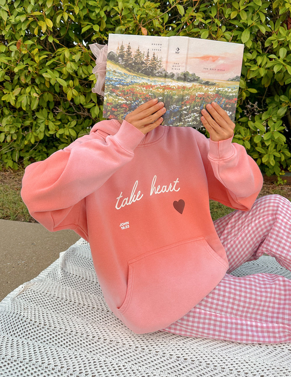 Elevated Faith Christian Hoodie in Pink with 'Take Heart' Design for Comfortable Wear