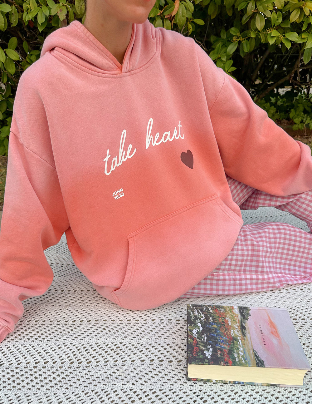 Elevated Faith Christian Hoodie in soft pink with 'take heart' text and heart design for comfort and inspiration