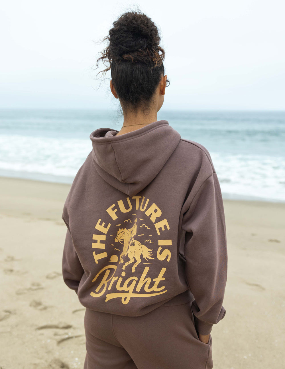 Elevated Faith Christian Hoodie in brown with a bright graphic of a horse and inspirational text on the back