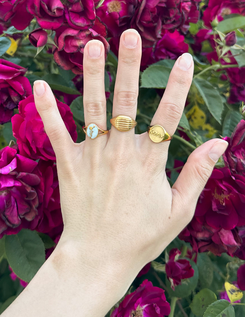 Three gold rings displayed on a hand among pink roses, featuring Elevated Faith Christian Jewelry