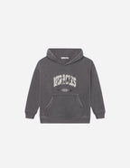 Elevated Faith Kids Hoodie in Gray featuring graphic design, perfect for Christian Kids Apparel