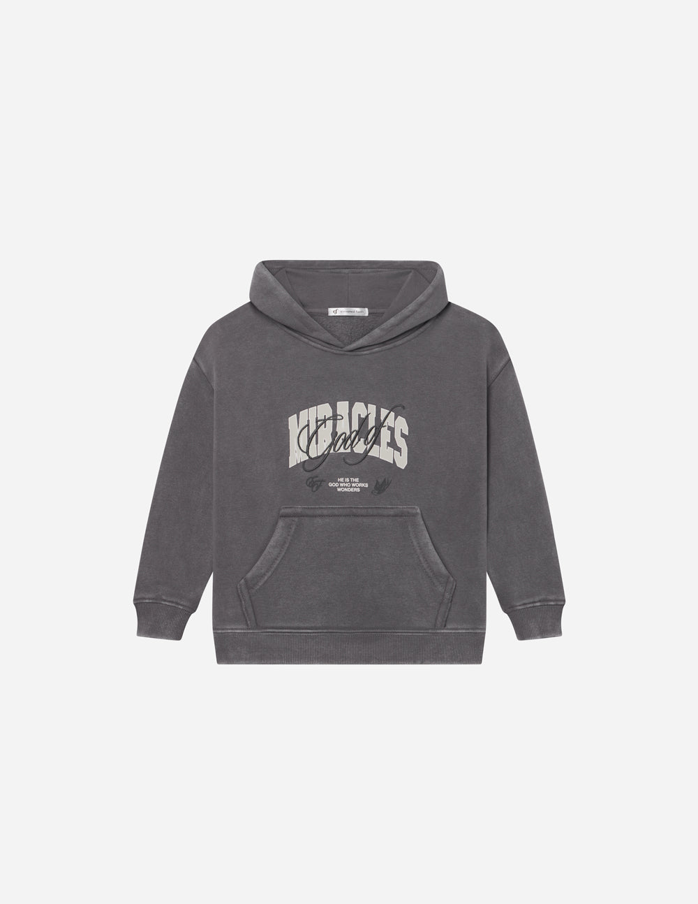 Elevated Faith Kids Hoodie in Gray featuring graphic design, perfect for Christian Kids Apparel