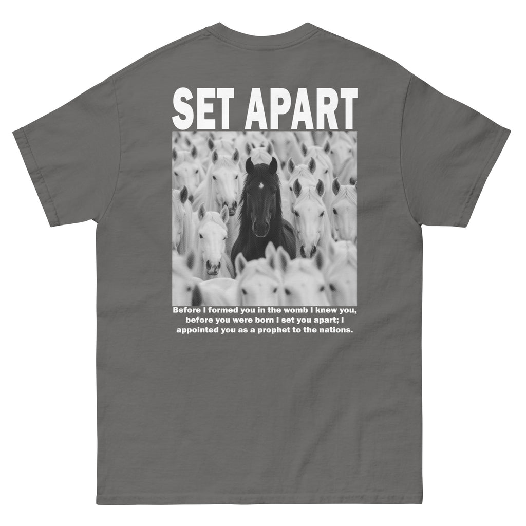Gray Christian T-shirt with 'Set Apart' design featuring black and white horses